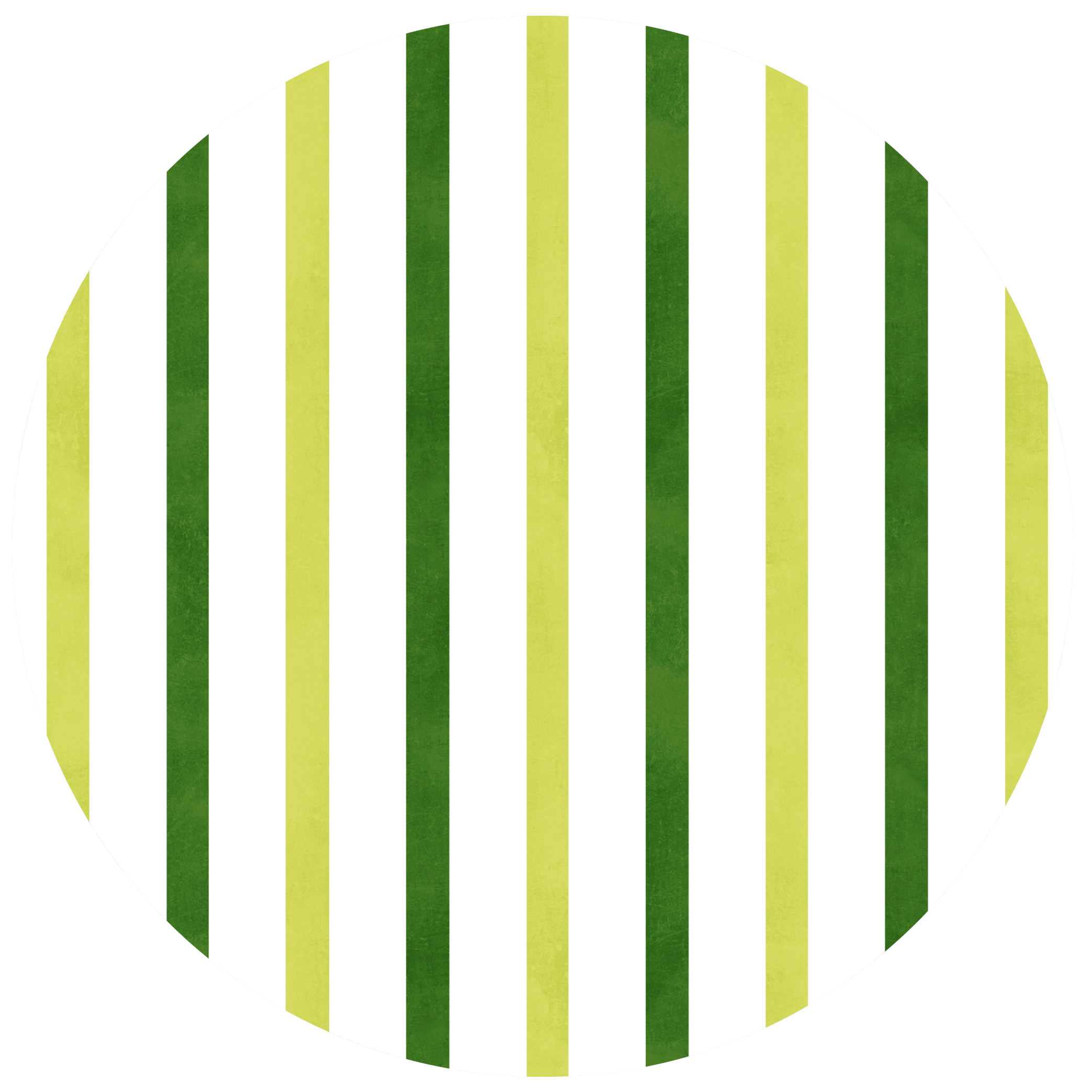 Pencil Case Small Avocado-5