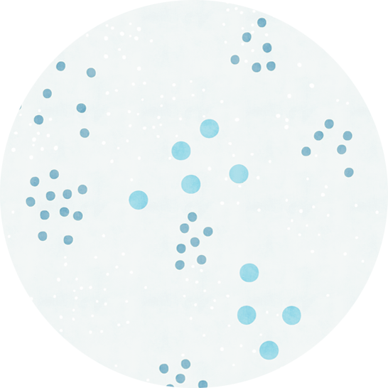 Pencil Case Small Hummingbird-4